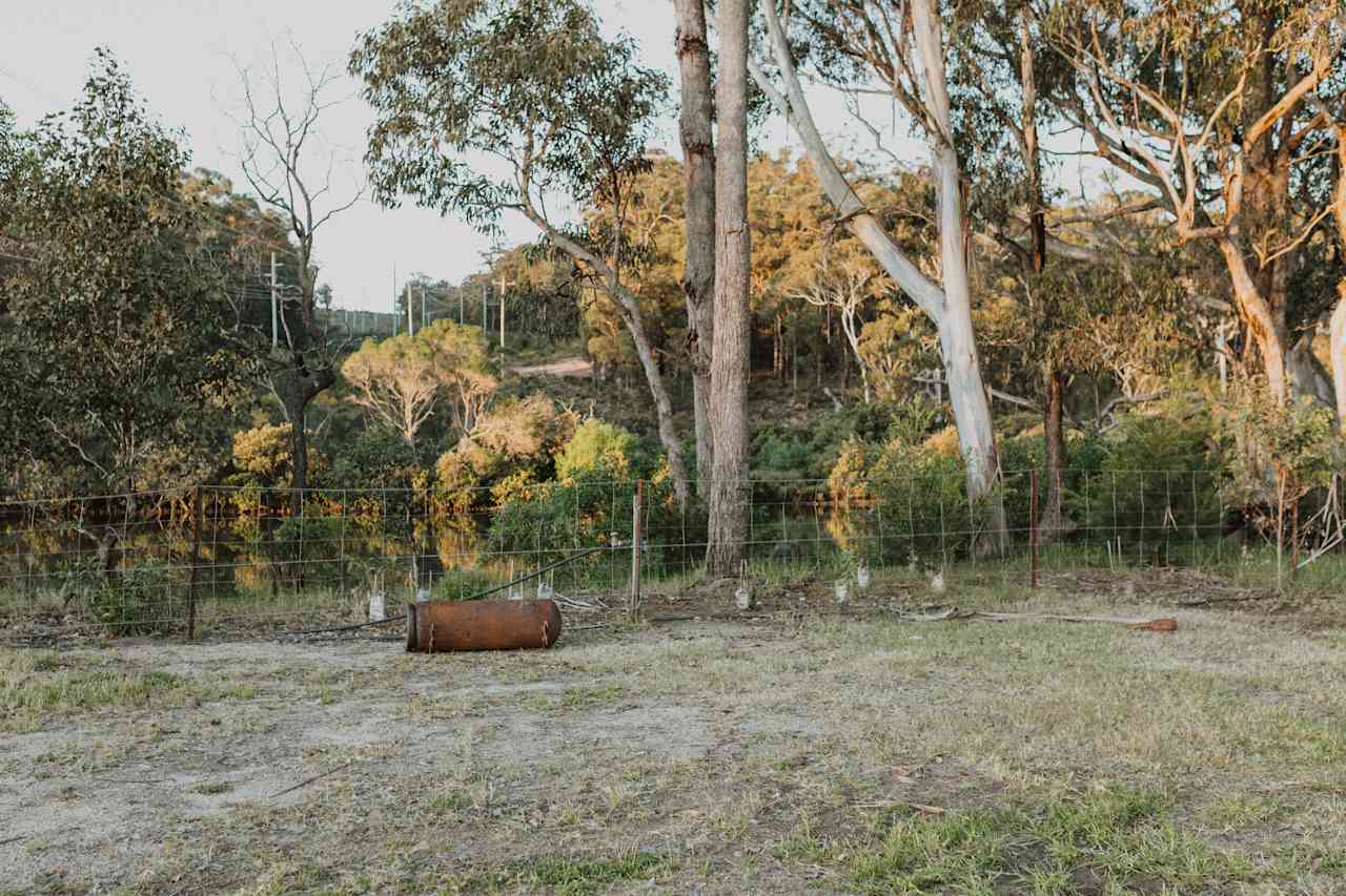 One of the riverside campsites.