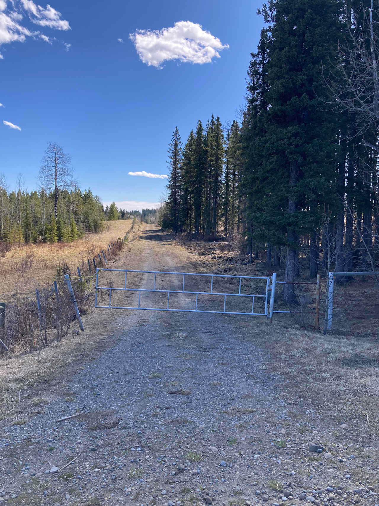 Entrance road to North Creek Site