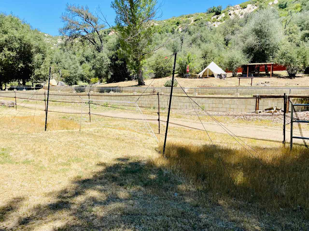 Deer Valley Alpaca Farm Glamping