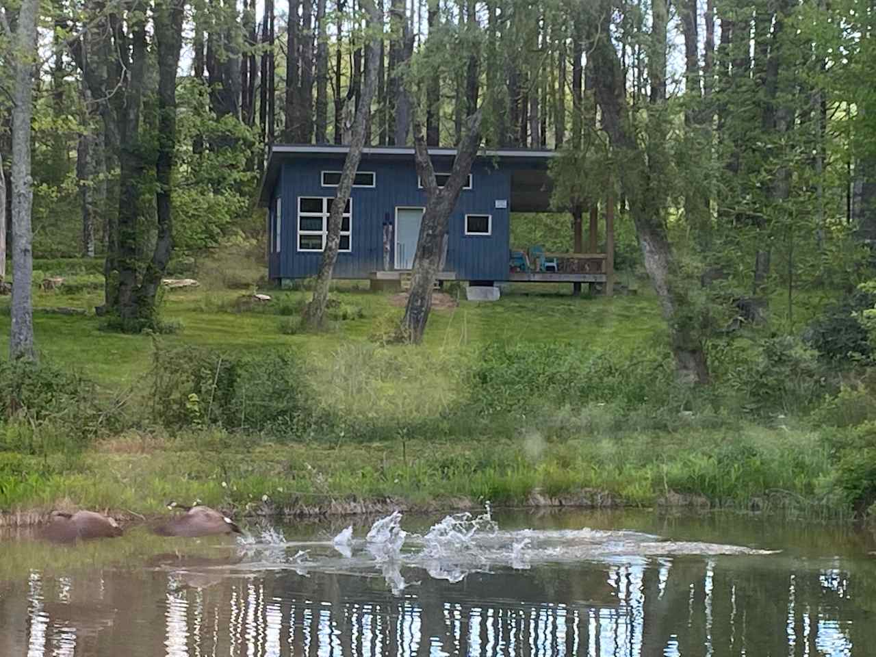 Meditation Studio