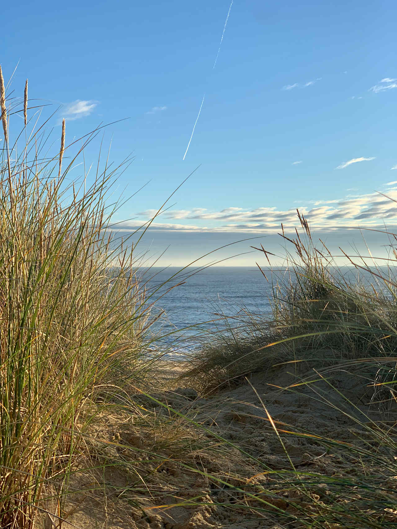 3 miles to the beach - Southwold 