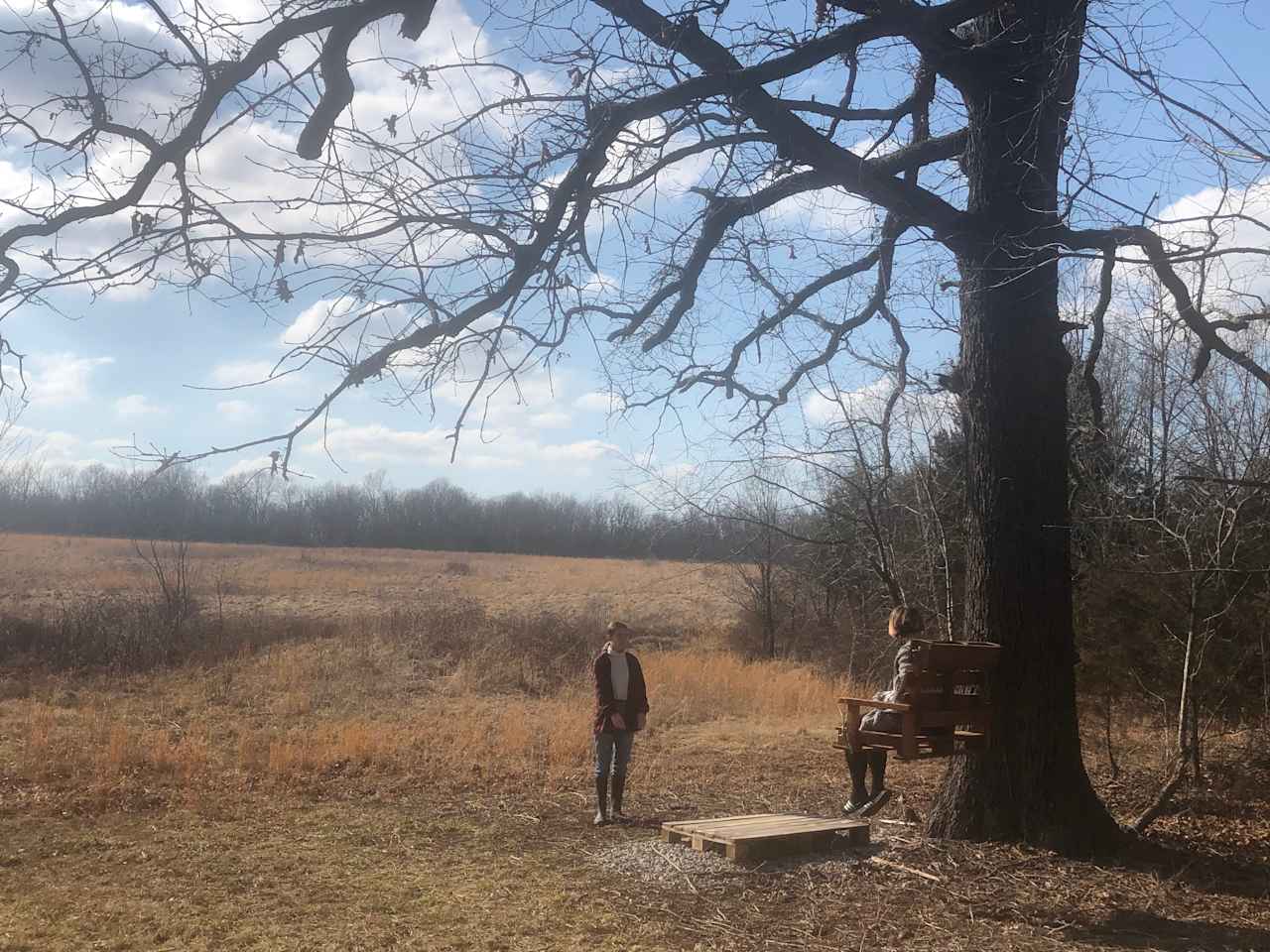 Peaceful Rest in Ozark Oak Nest