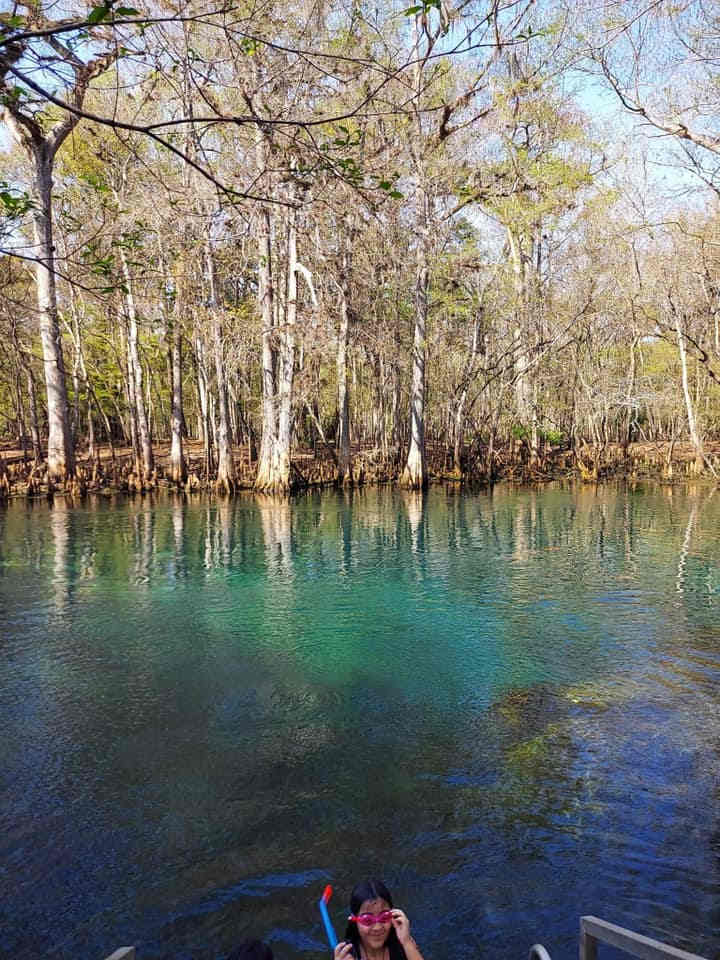 Manatee Springs State Park