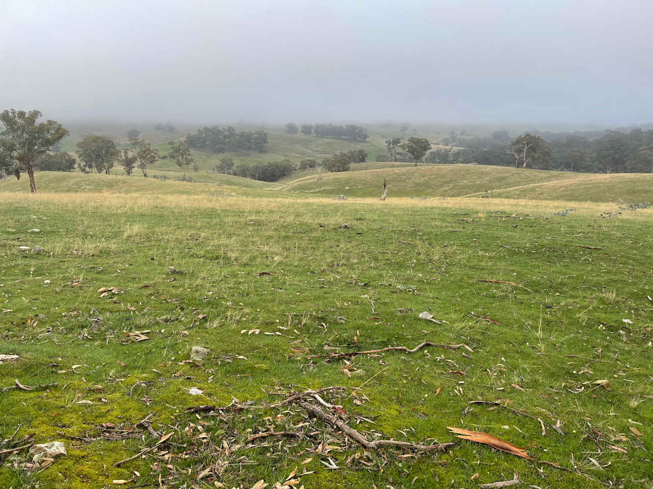 Daylesford Hepburn Farm Camping