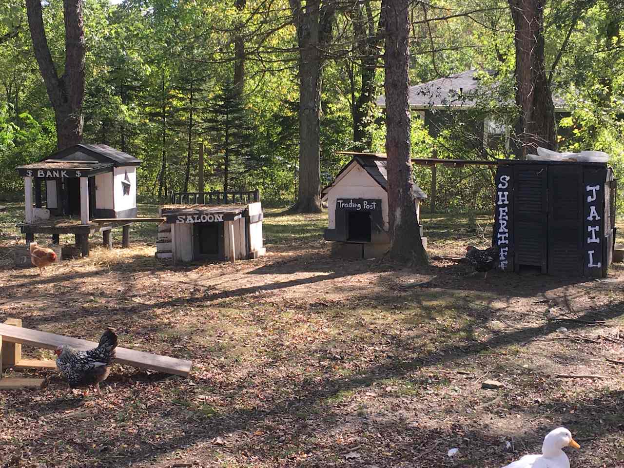 Goat Farm Hide-Away CVNP