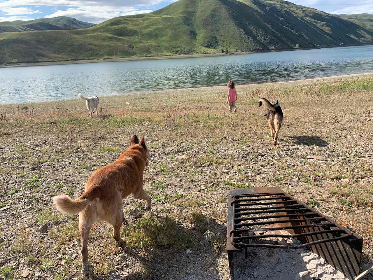 Waterfront RV camping brownlee