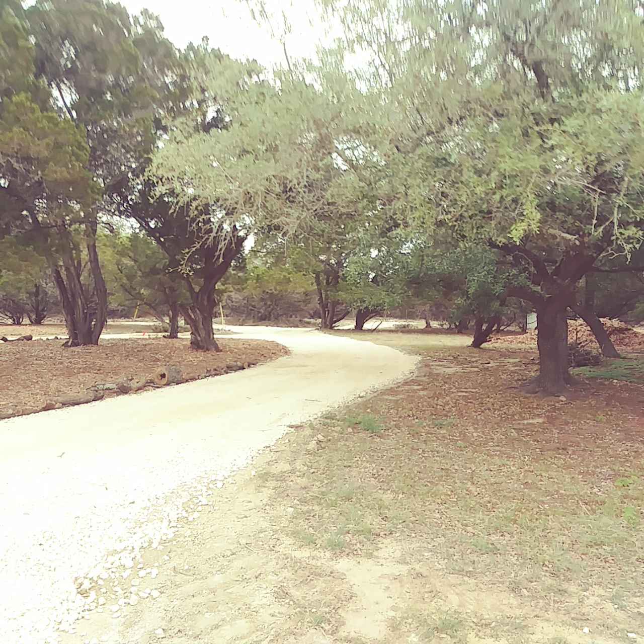 Wimberley Dark Night Sky Camp