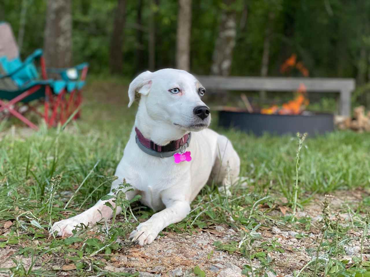 Georgia Bushcraft