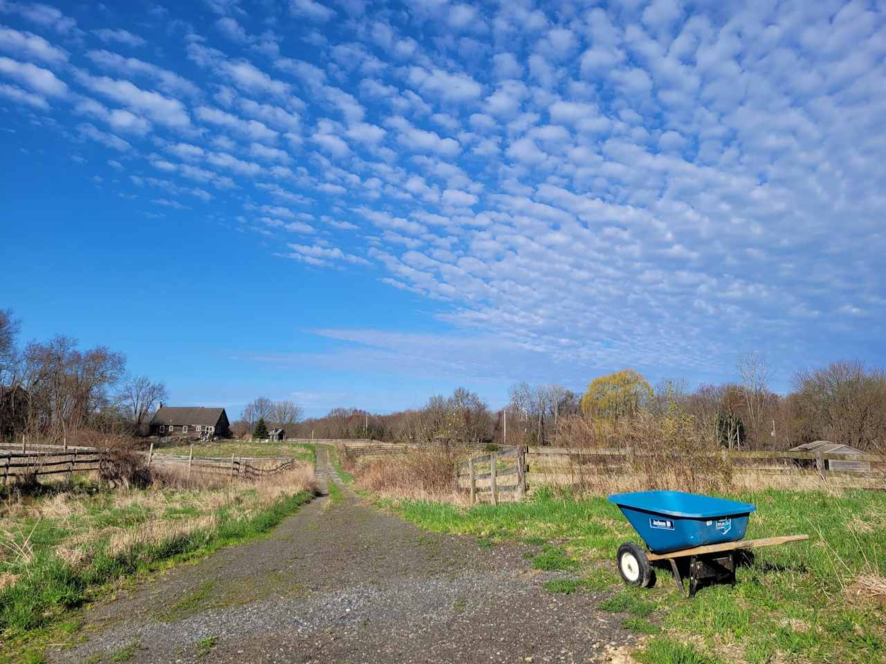 Quail Lane Farm