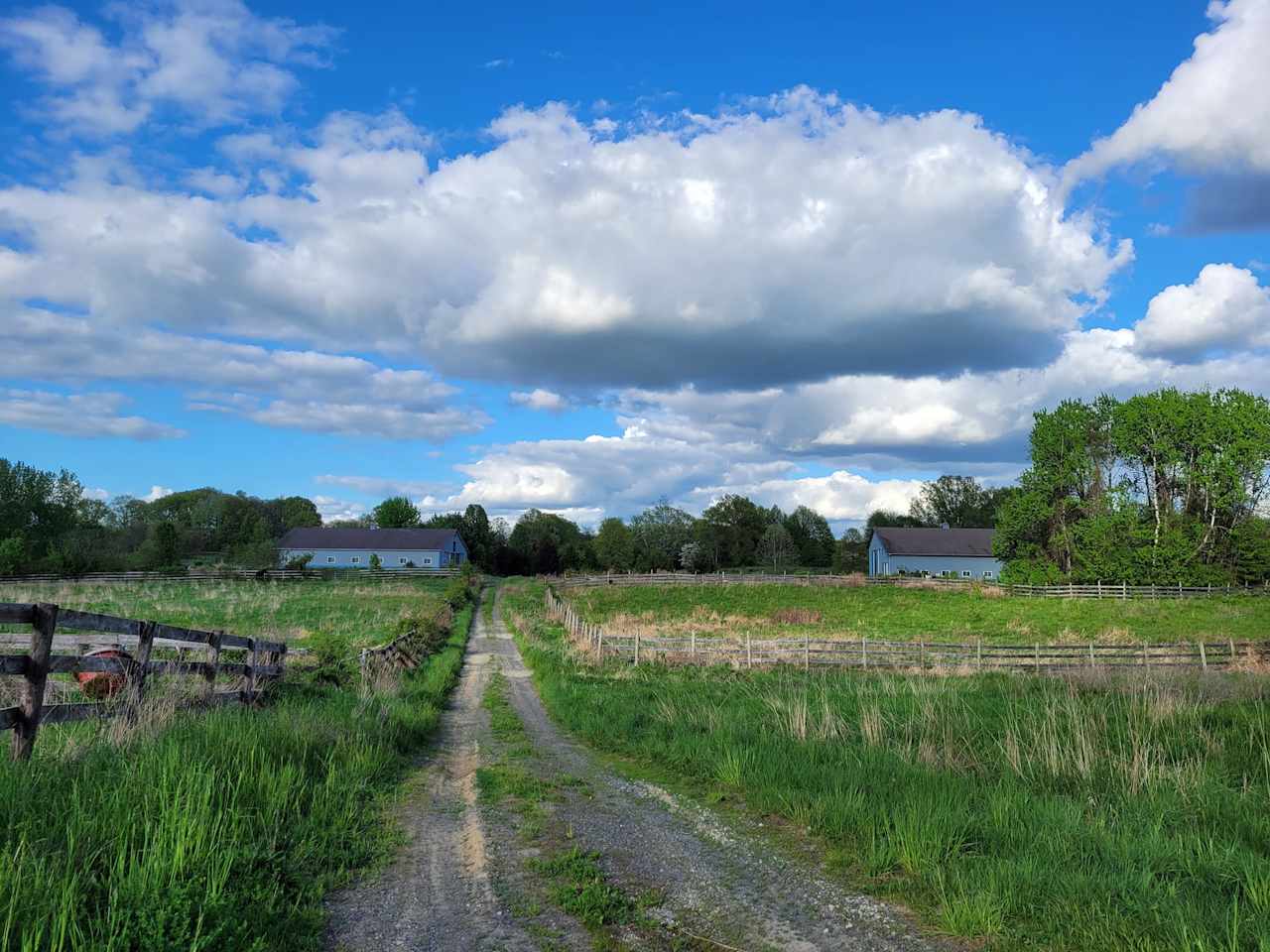 Quail Lane Farm