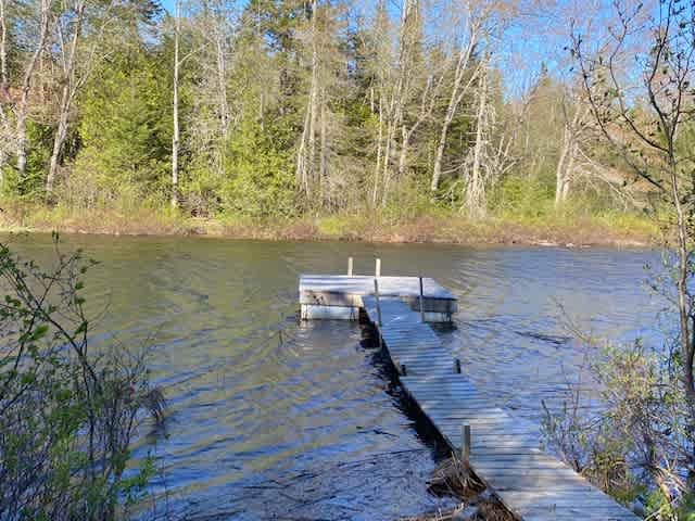 Dock and swimming hole