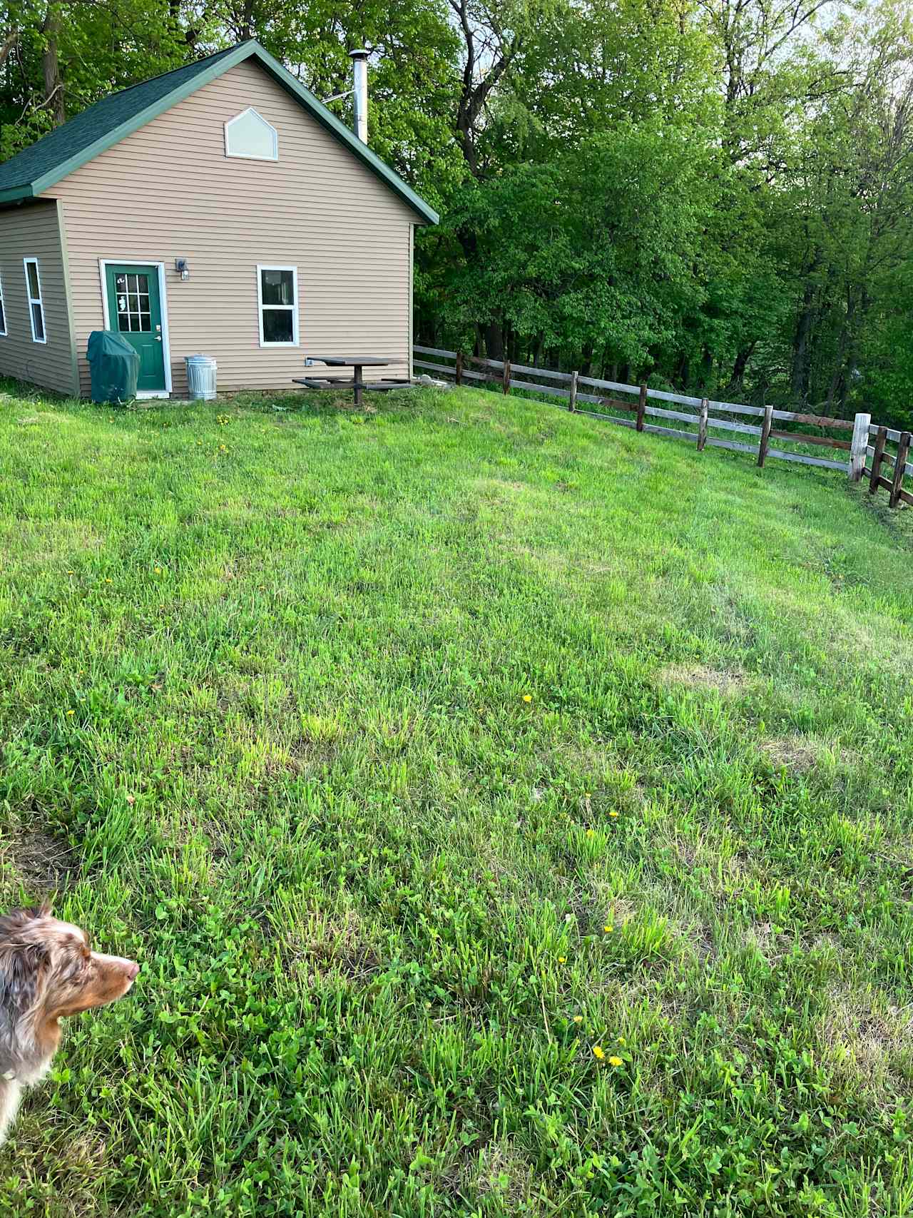 The Heifer Pasture