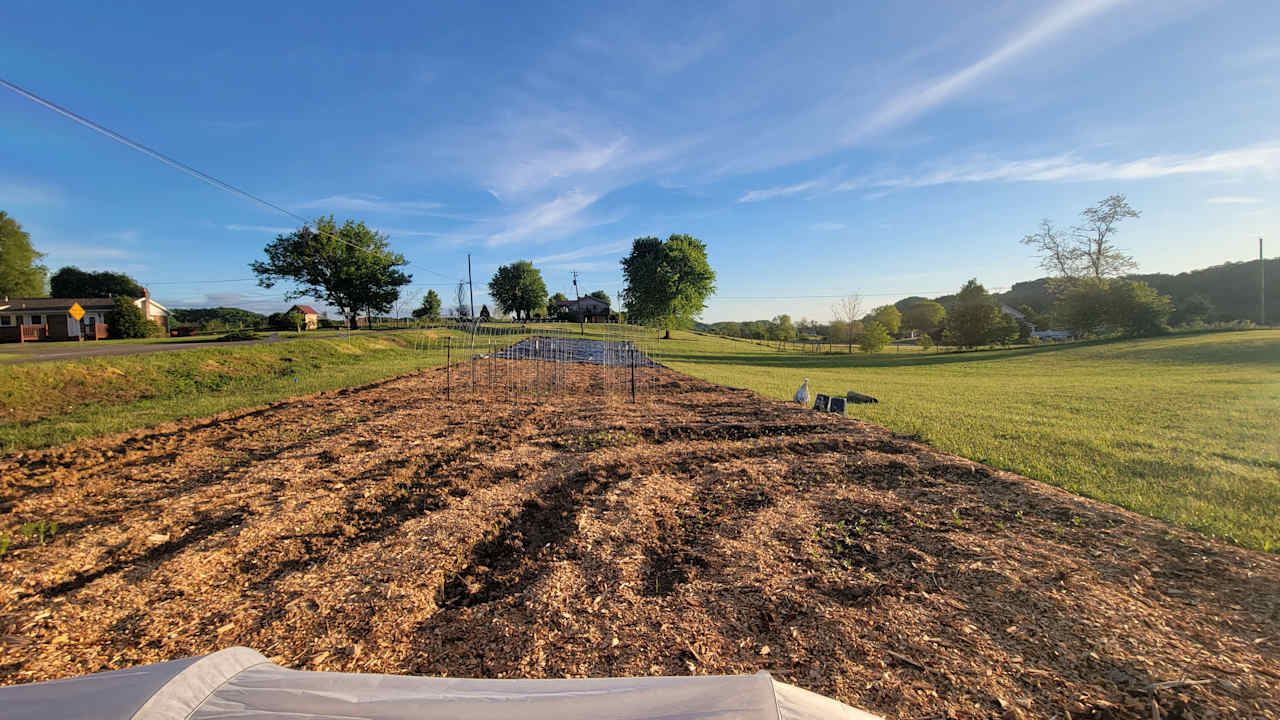 Pick-your-own garden.