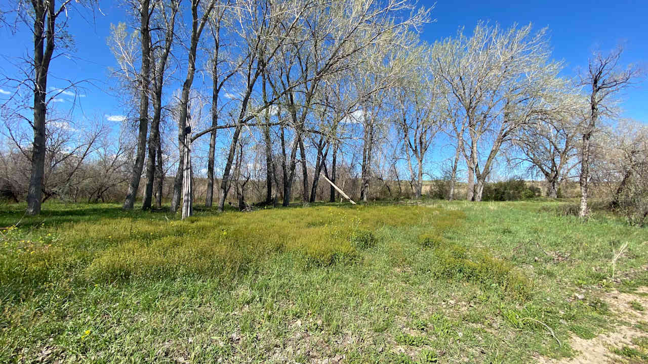 Medicine Tail Coulee Camp