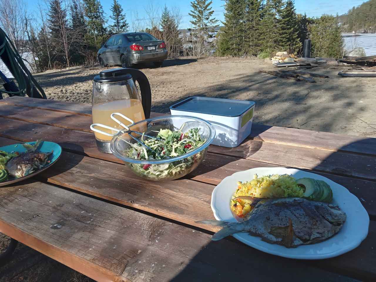 Kipawa campsite.