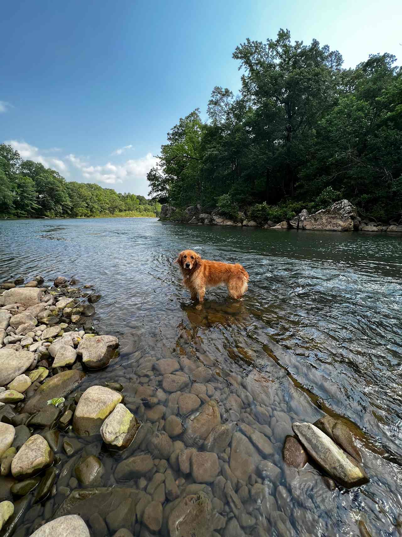 Yearling Ridge River