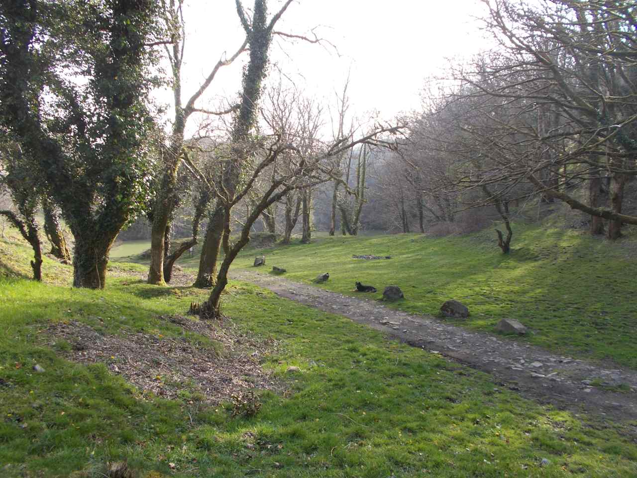 Meldon Lake and Woods Wild Camping