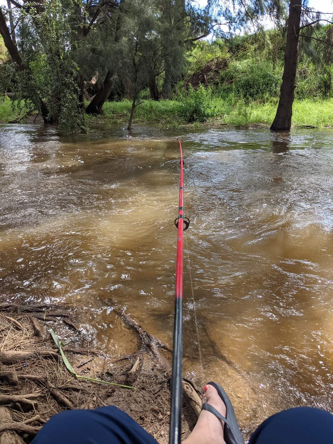 Fishing near-by