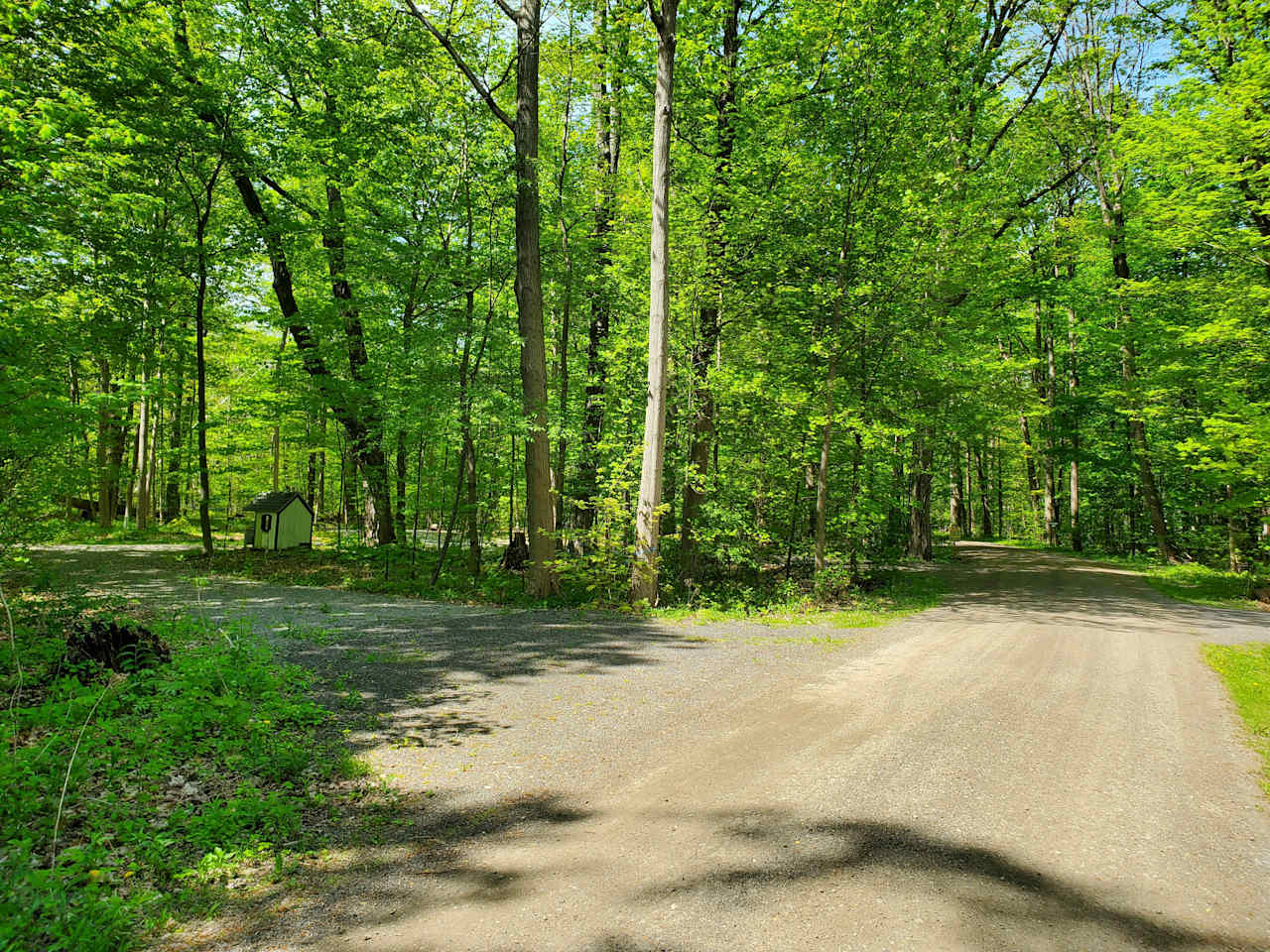 Steelhead Run Recreation Area