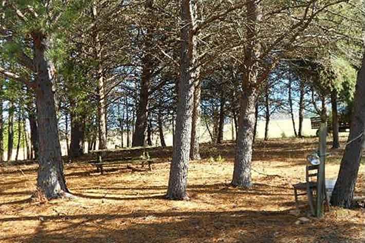 Pine Grove at main office offers picnic tables  electric and water faucets.  Also available for not so exclusive tent sites.  Convenient to Bathhouse.
