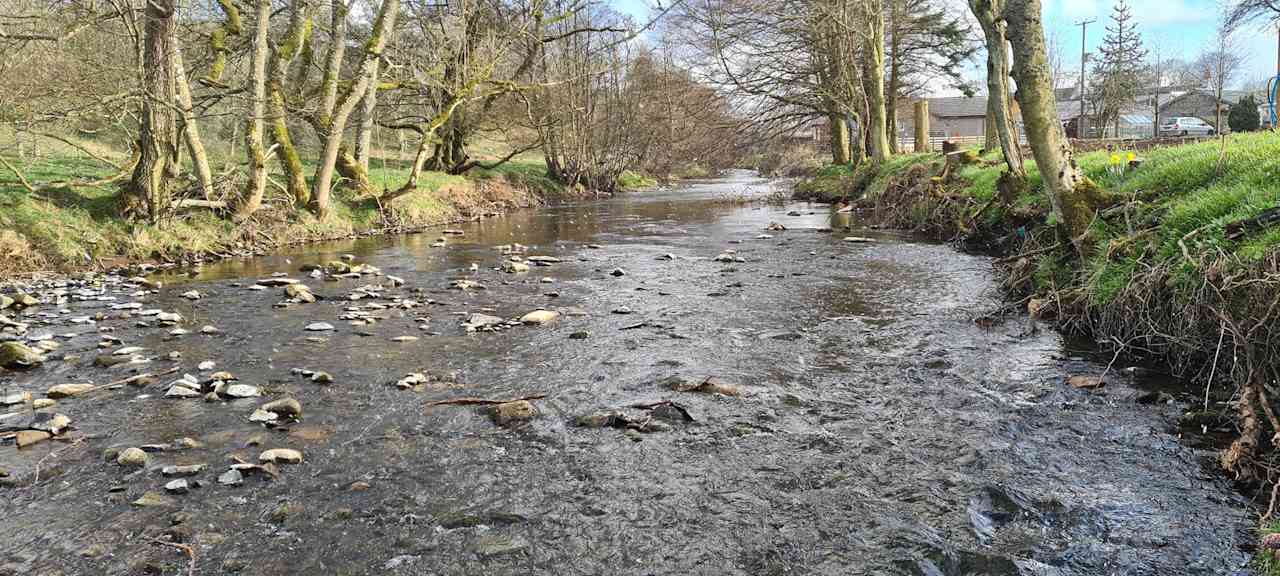 Bonchester Bridge Camping & Caravan