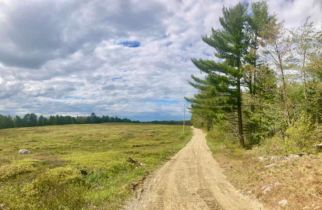 the road into our property