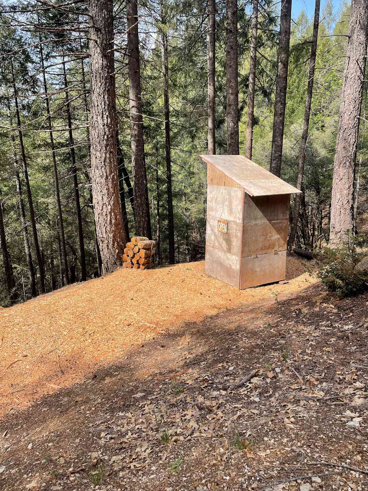 Compost toilet overlooking forest. 