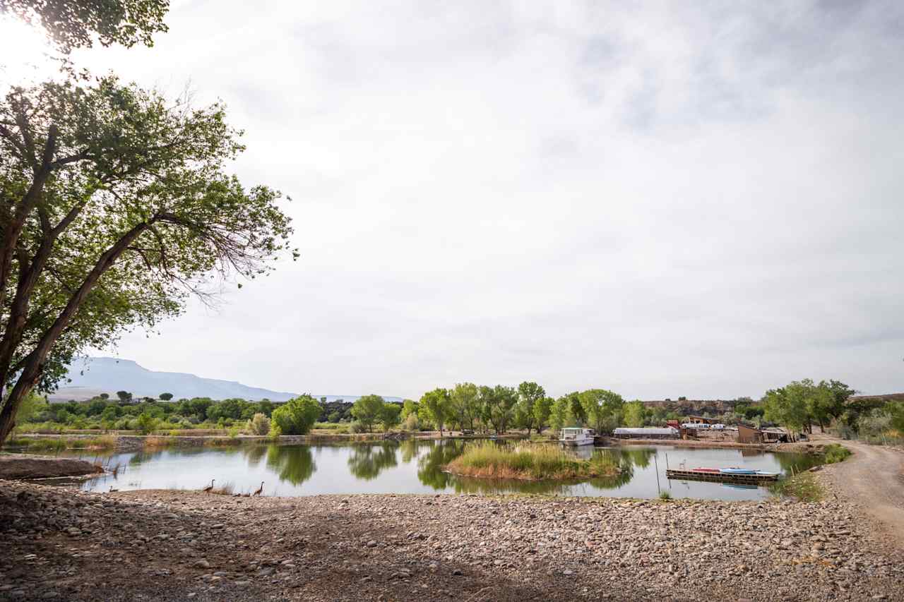 Colorado River Animal Sanctuary