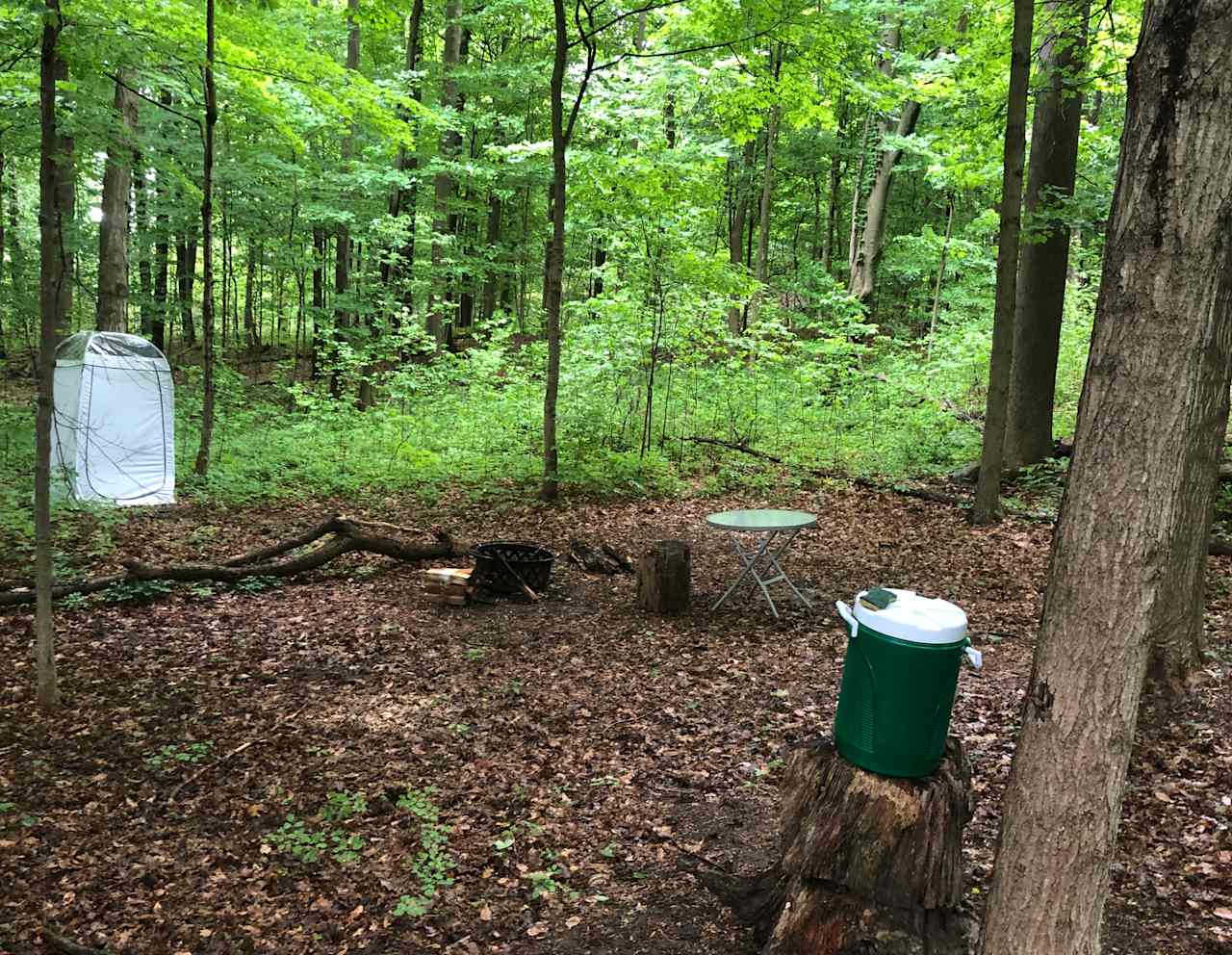 Deep Forest Campsite comes with a fire pit and free bundle of wood, a table, five gallons of water and a privacy tent.  In the privacy tent there is a first aid kit, cleaning spray, a composting toilet and a tub with dirt for covering your waste. 