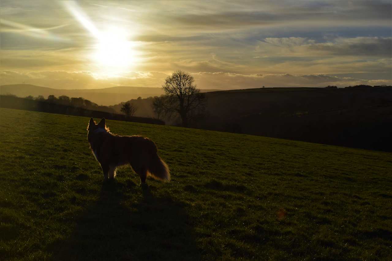 Walks around the farm from the pitch