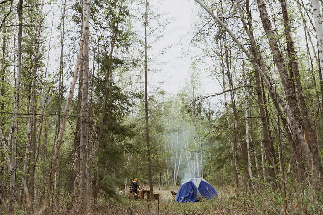 Tent Forest Campsite #1