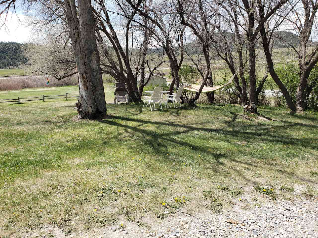 Tent site next to nice shade trees.