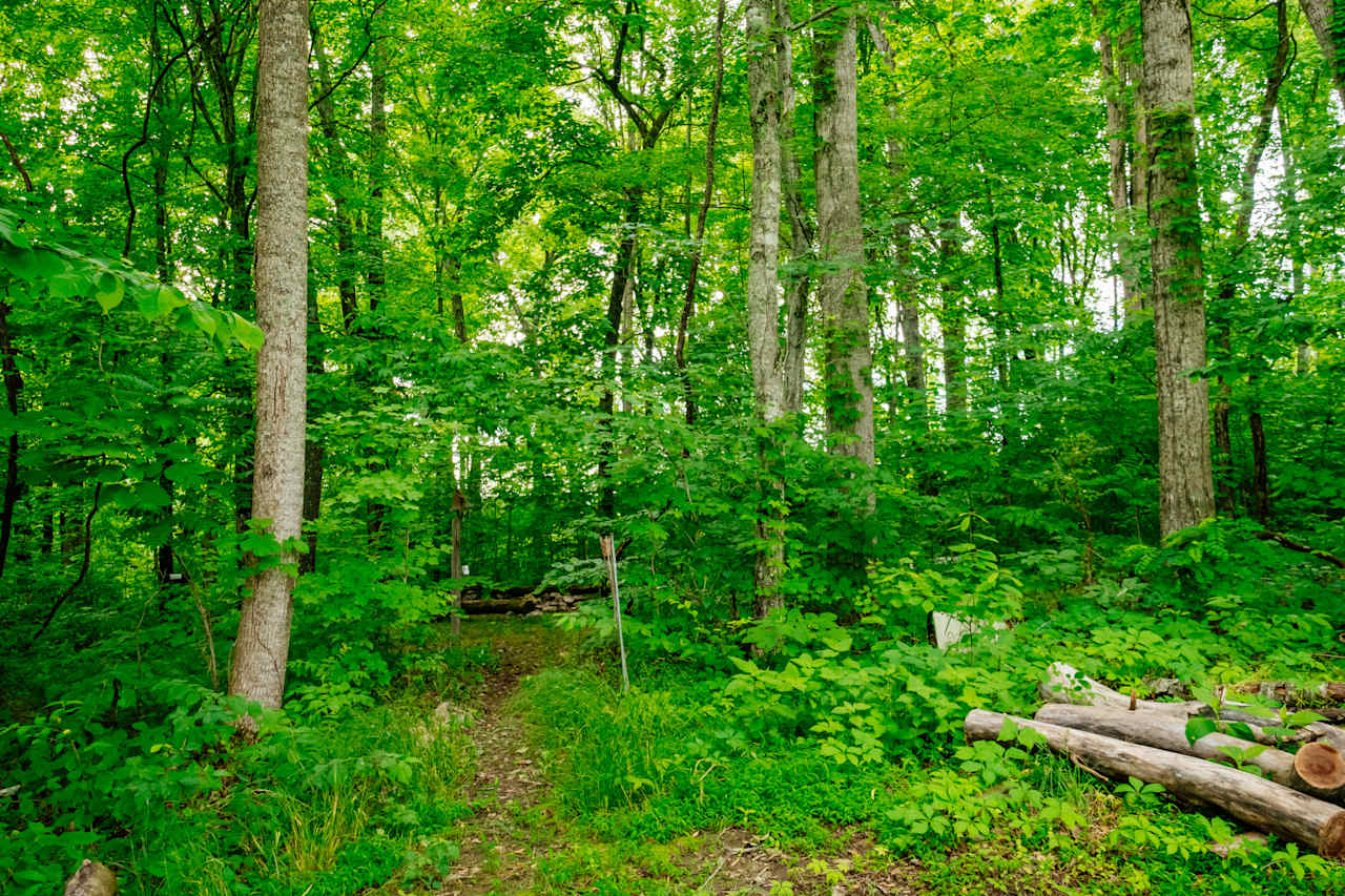 Path to camping area