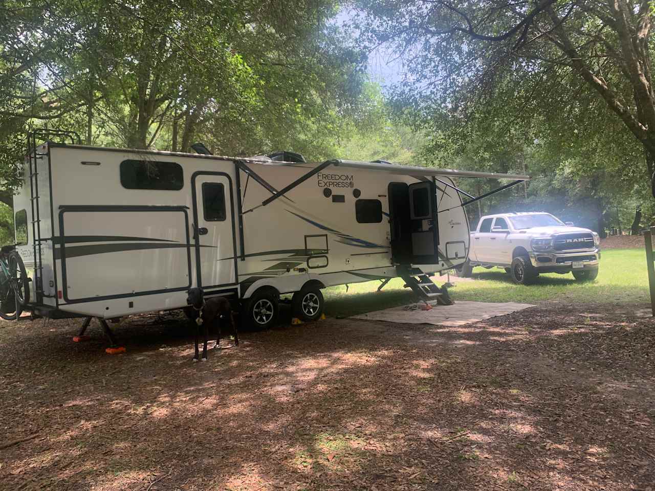 Spacious Oak Hammock