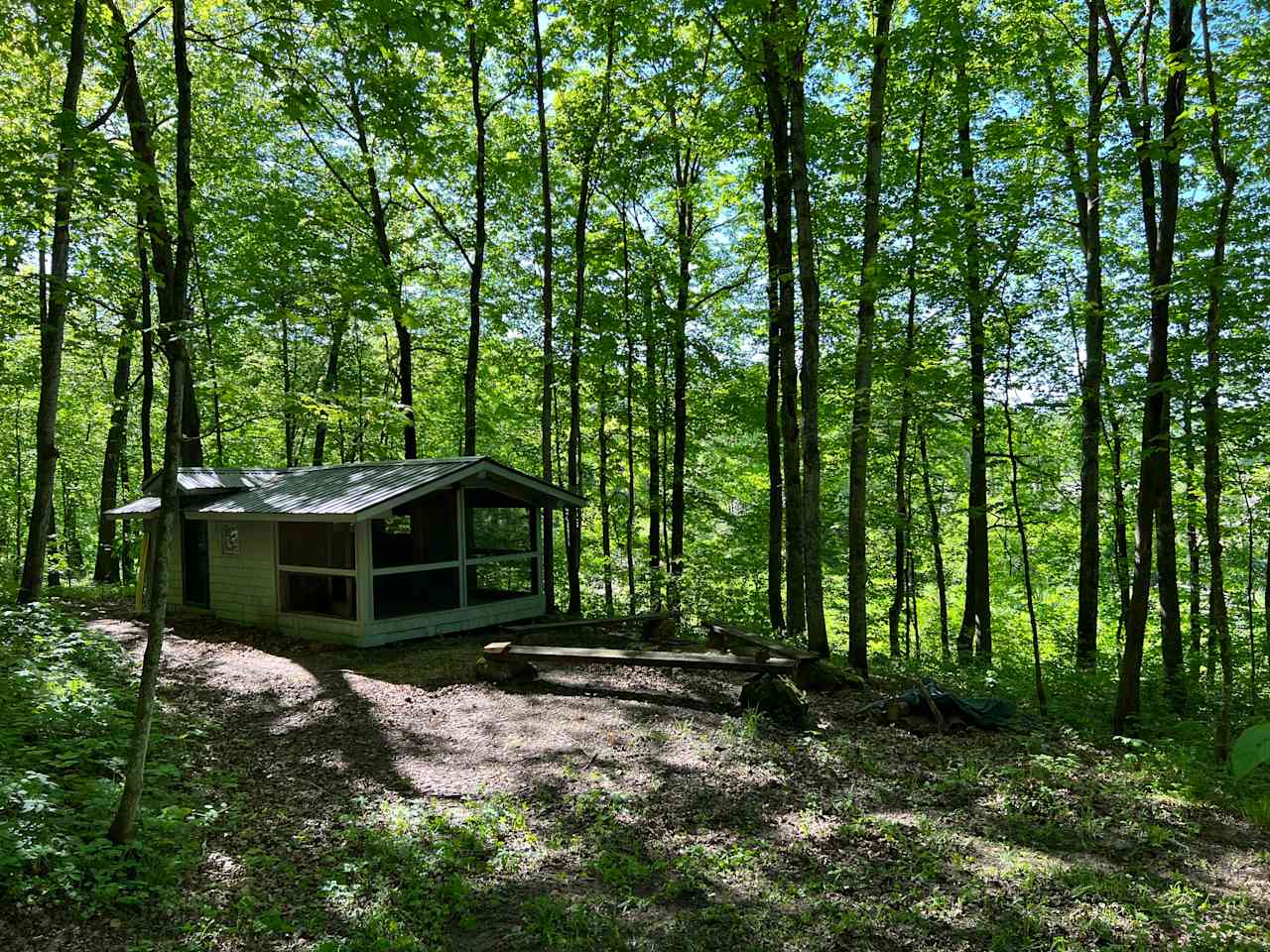 Green Canopy Cabin!