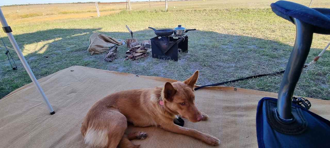 Nambung Station Stay