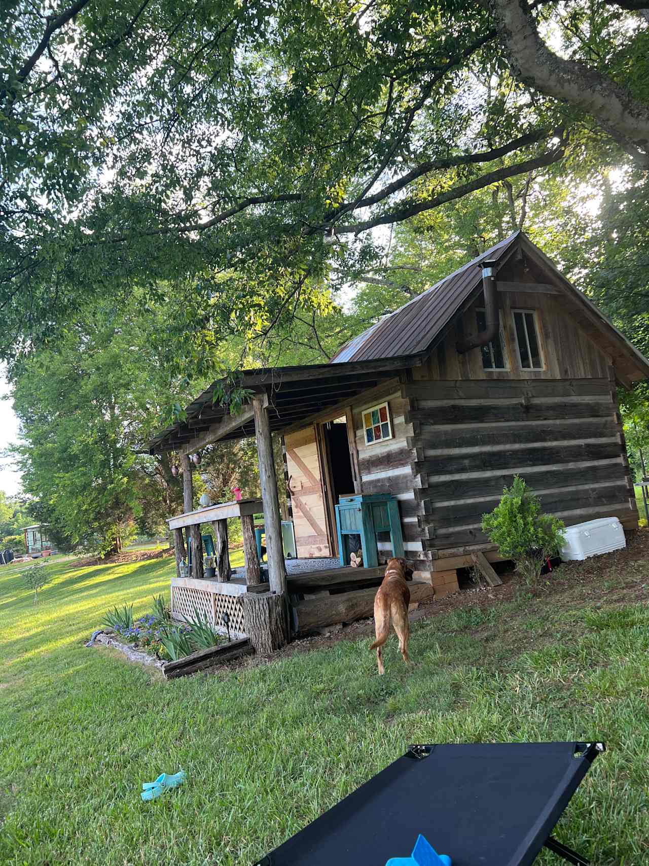 The Dancing Pig On Abbotts Creek