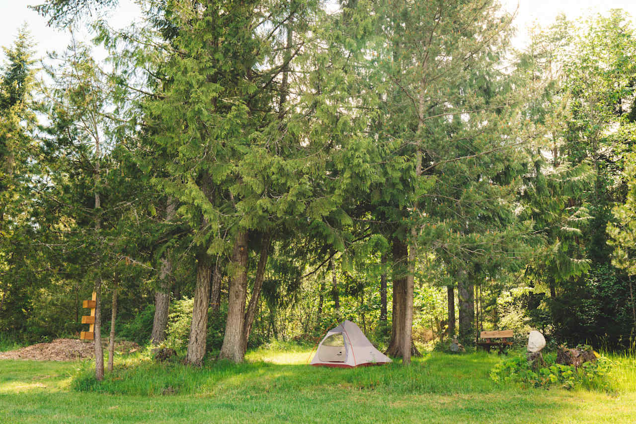 My chosen site, under the shade of the trees. 