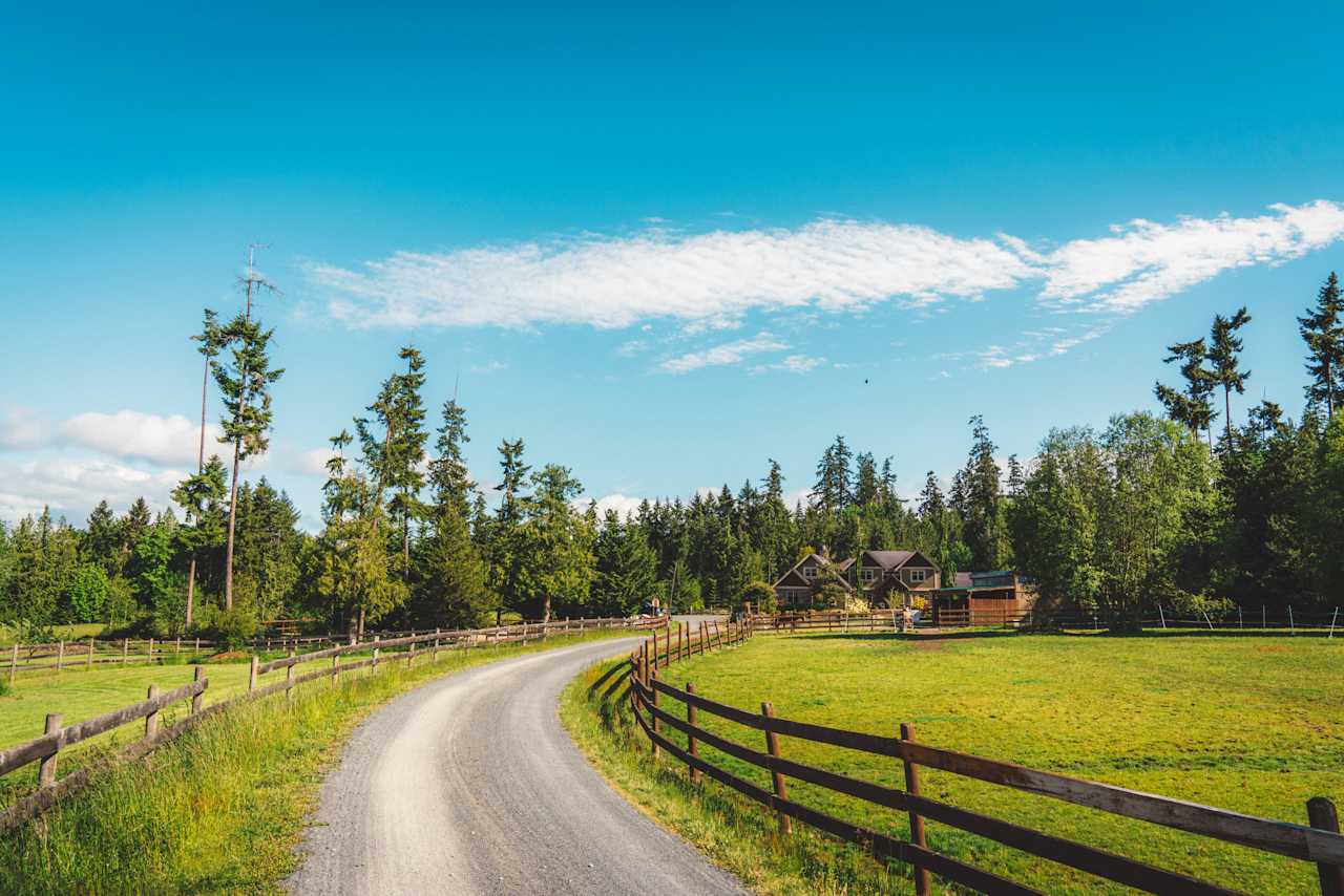 The long driveway. 