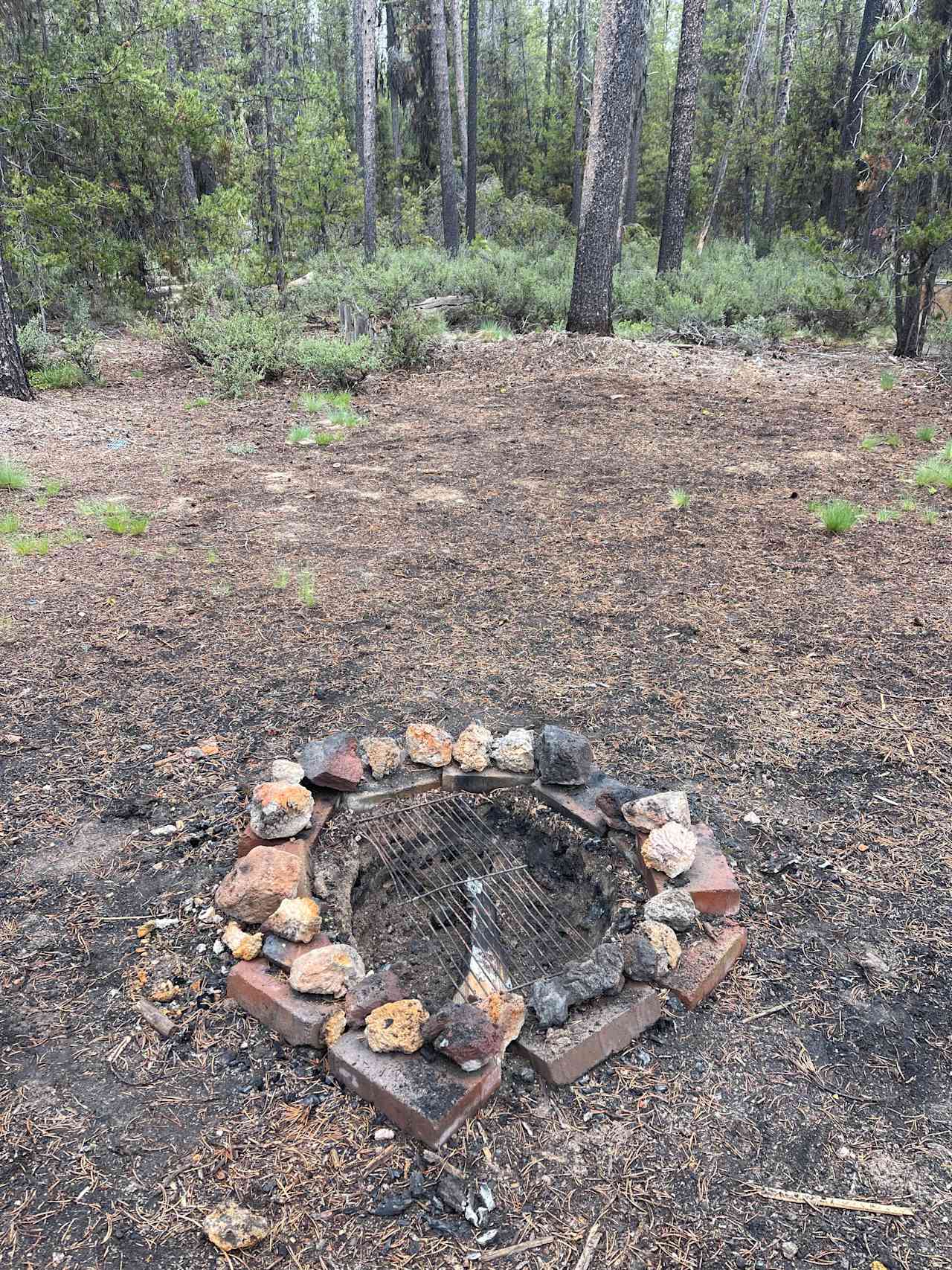 Mt. Scott Camping