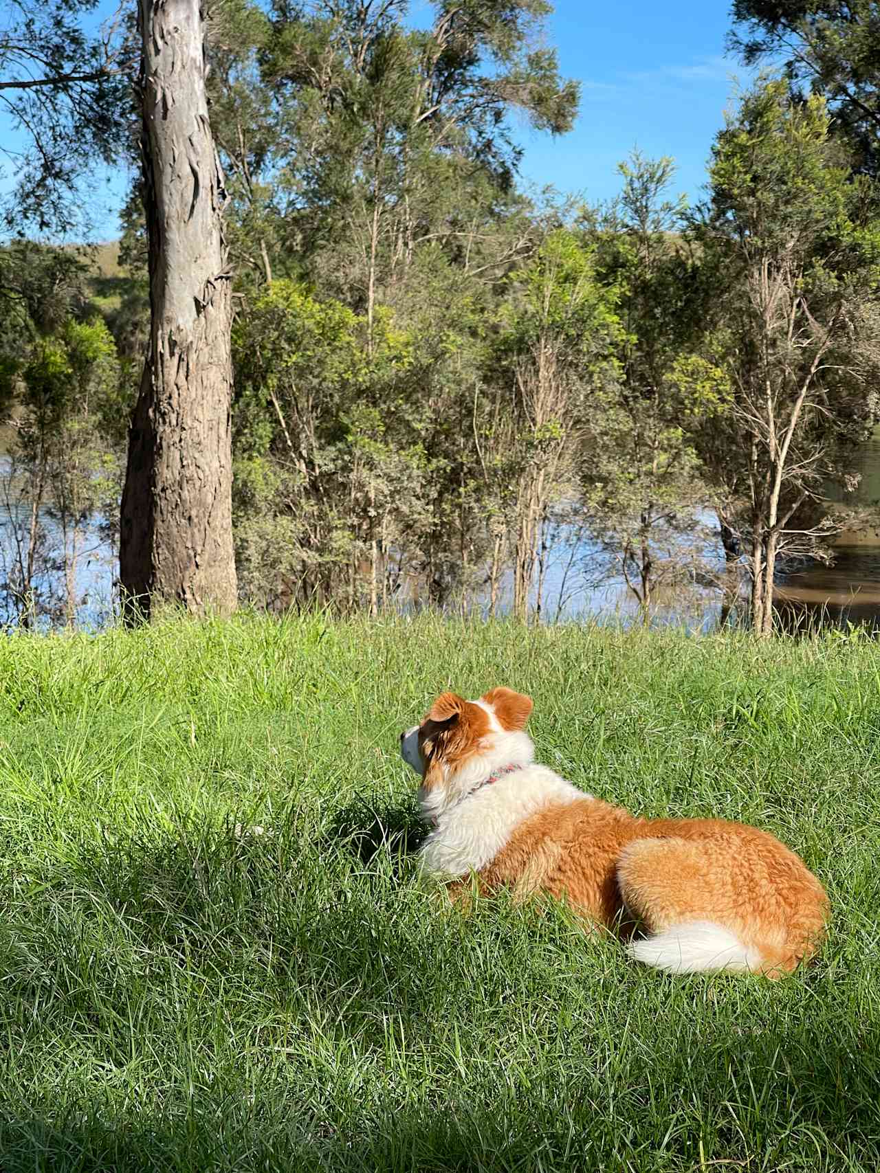 Paradise Lost on the Burnett