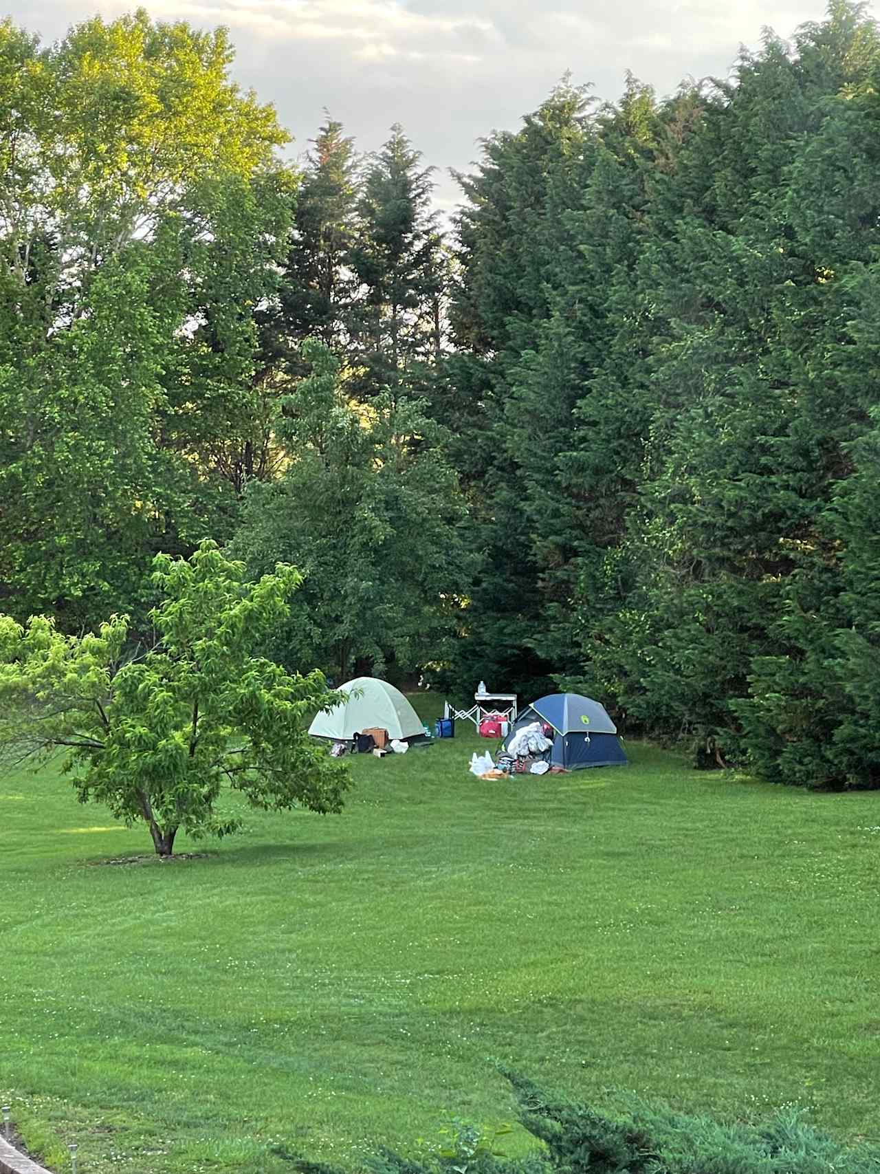 Quiet, Peaceful Getaway in Nature