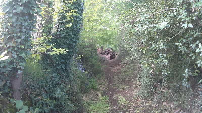 nature trail , only 500 meters but home to Buzzards , Owls ,and if your lucky , you may see a passing deer during the day