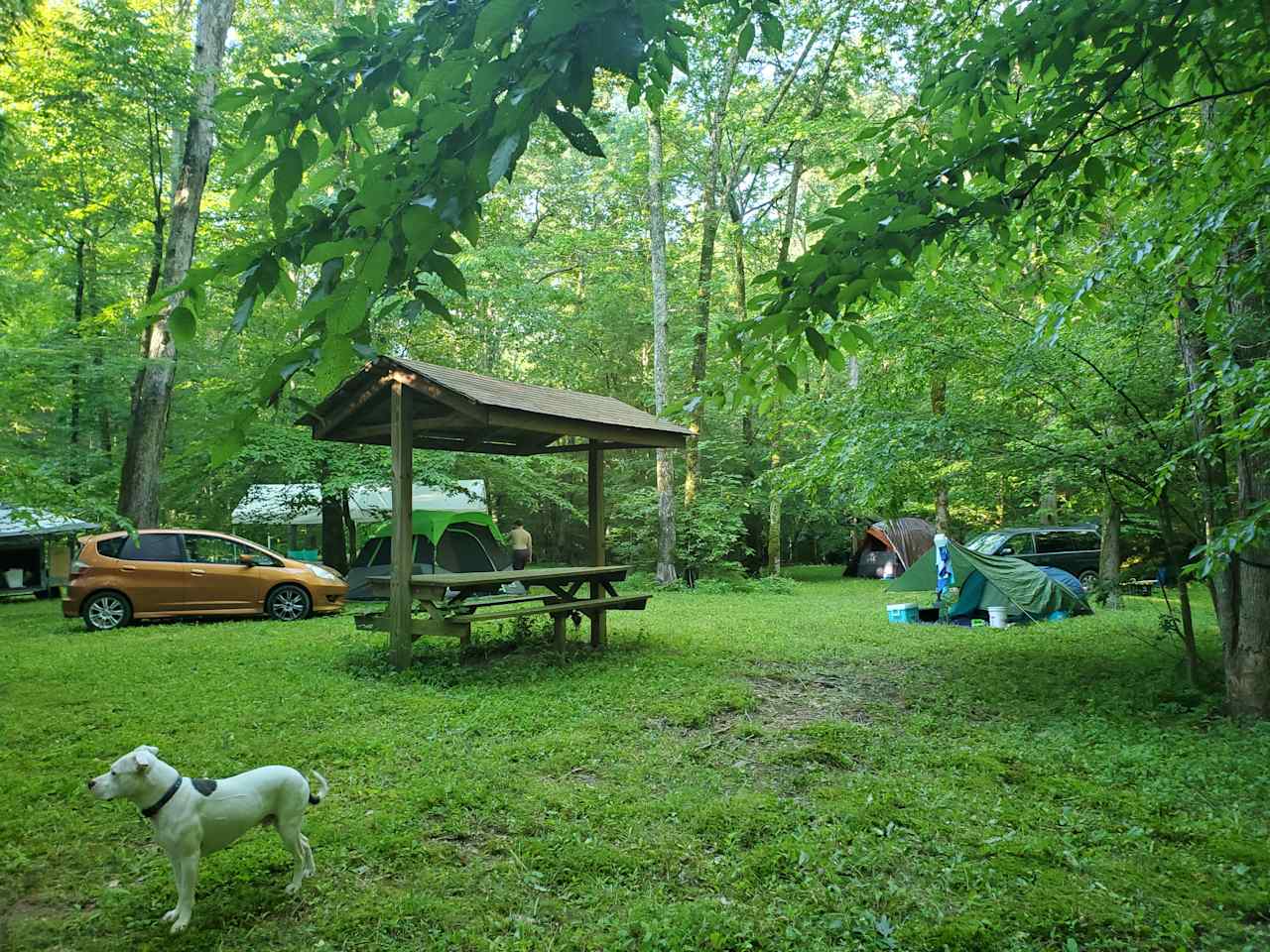 Rock Creek Wooded Campground