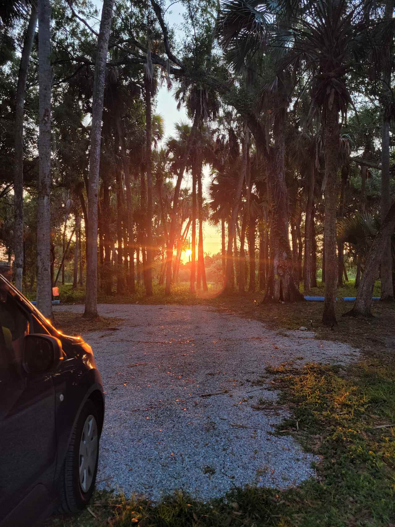 Taste of Old Florida