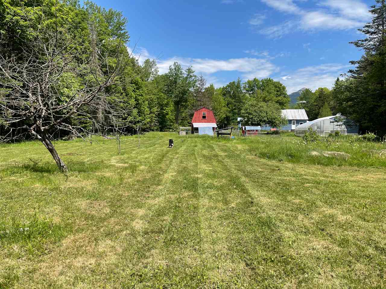 Paugus Brook Farm