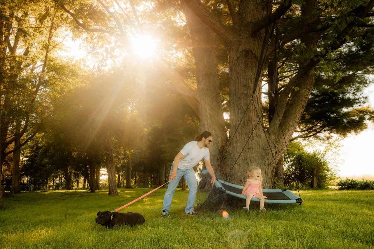 Swinging in the front yard. 