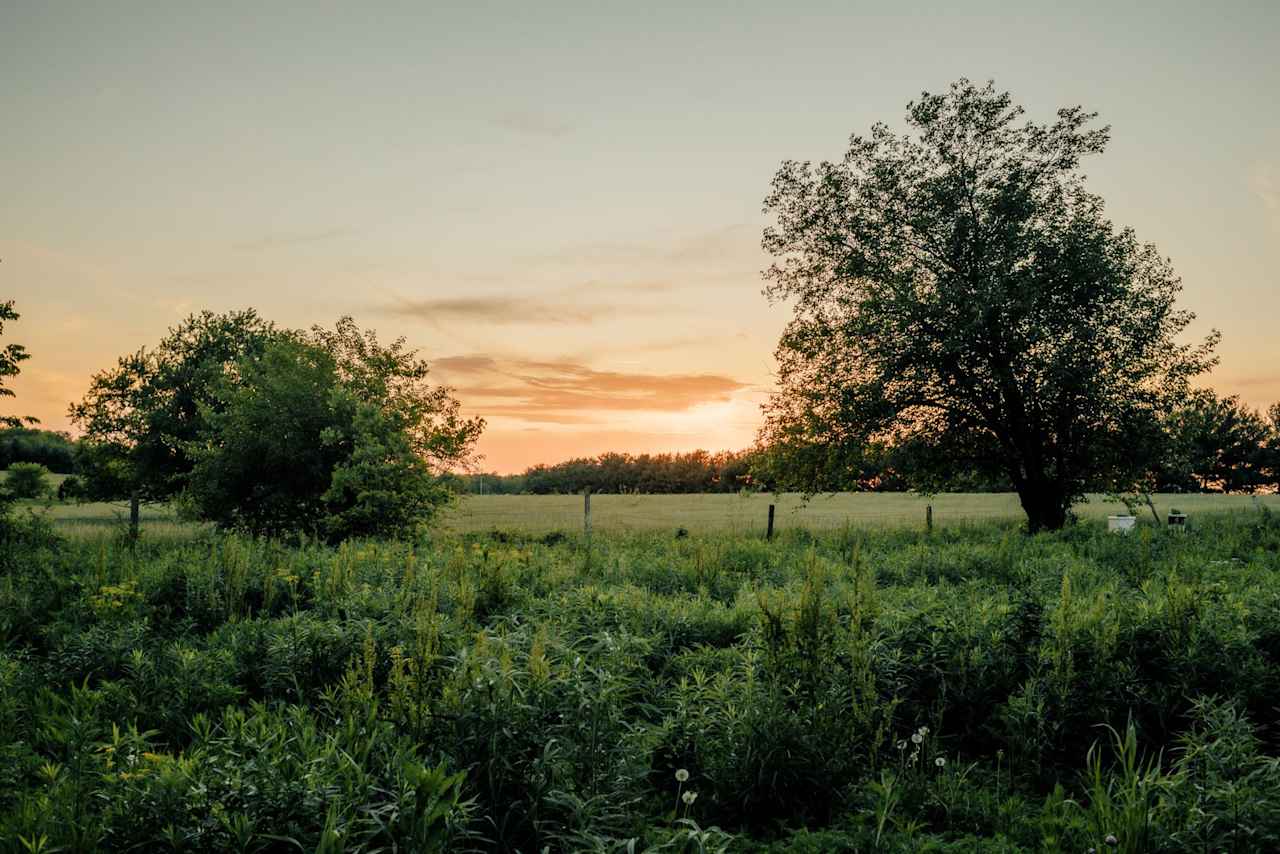 A view of the sun setting over the field at campsite 1!