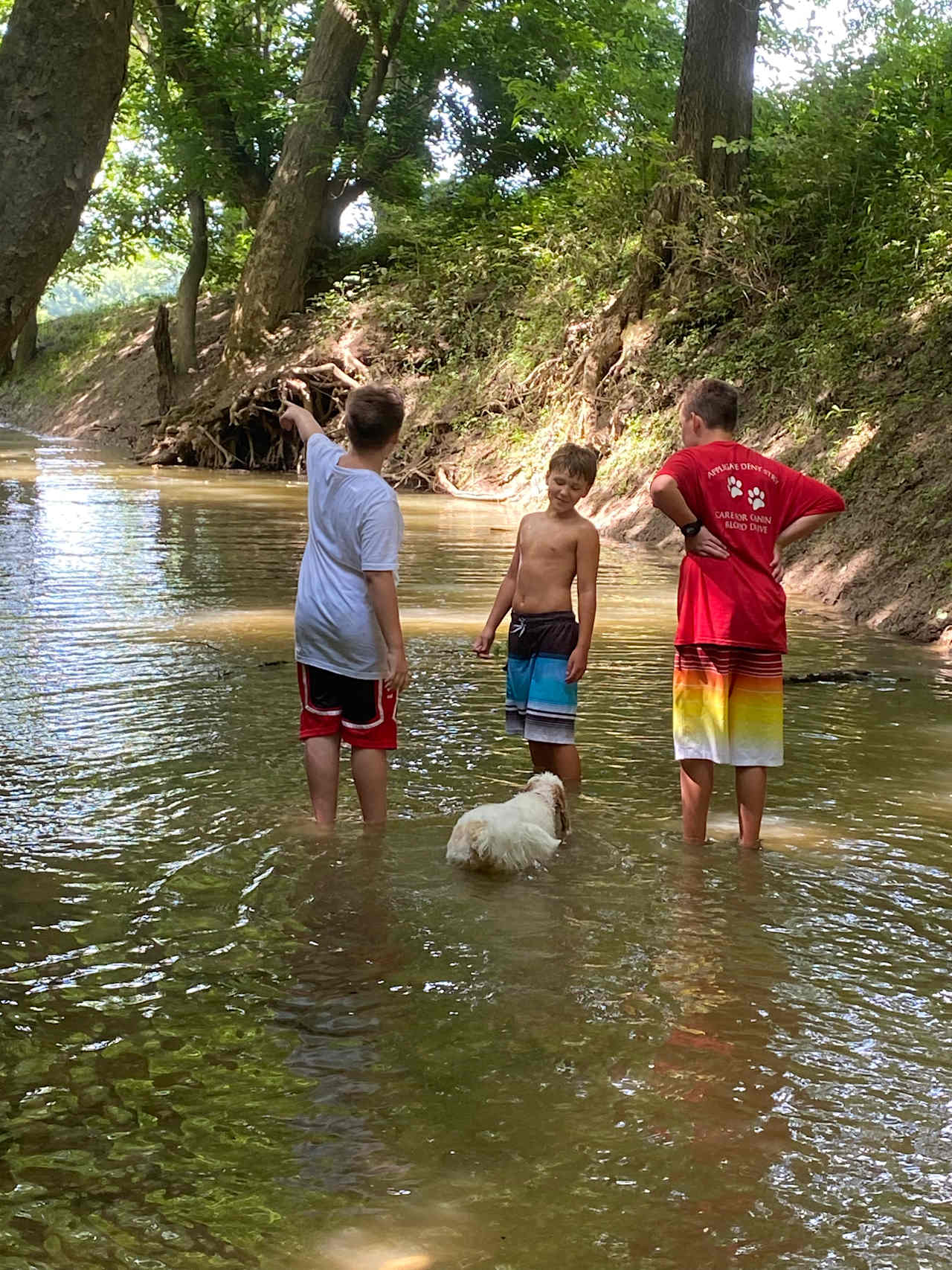 Hidden Valley River Camp