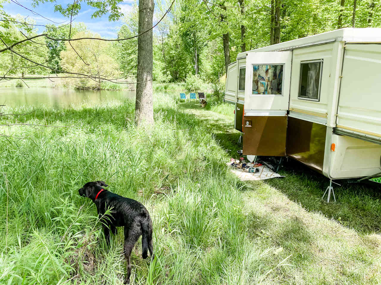 We parked our pop up a bit back from the water, which provided some nice shade. 